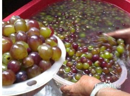 健康與美的雙重享受 水果飲品與化妝品的巧妙結(jié)合