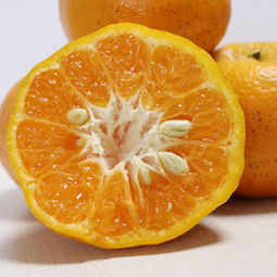 優(yōu)質(zhì)農(nóng)產(chǎn)品助力精準扶貧 新鮮當季水果與蔬菜，脆甜可口全國包郵